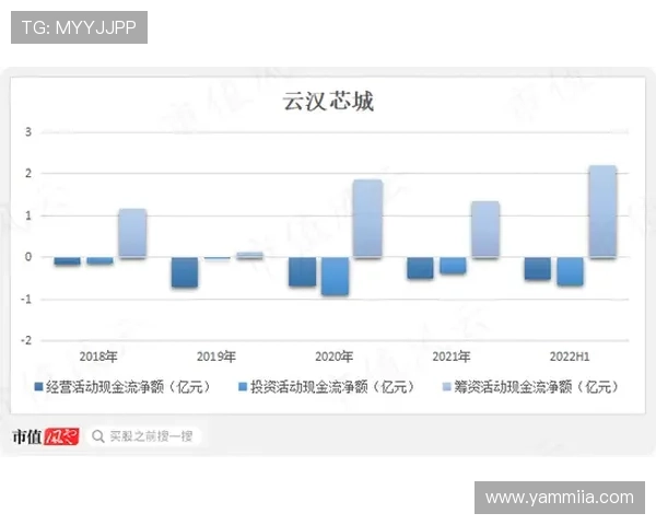 K8视讯倍投操作流程详解，帮助新手快速上手实现盈利目标